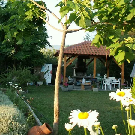 Blue Oasis Plaka-leptokaria Villa Leptokarya (Pieria)