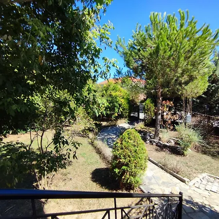 Blue Oasis Plaka-leptokaria *
