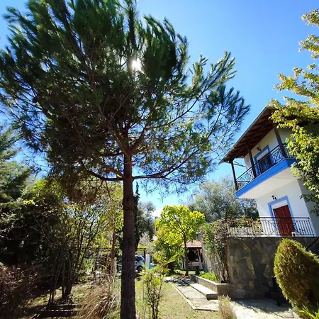 Blue Oasis Plaka-leptokaria Leptokarya (Pieria)