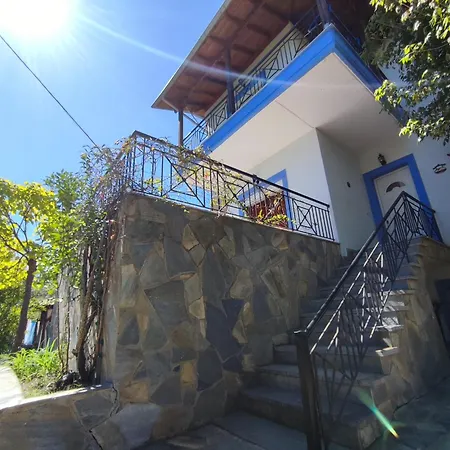 Blue Oasis Plaka-leptokaria * Leptokaryá