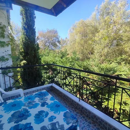 Blue Oasis Plaka-leptokaria Villa *