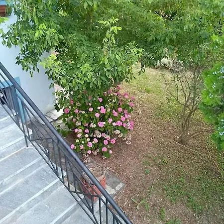 Blue Oasis Plaka-leptokaria Villa Leptokarya (Pieria)