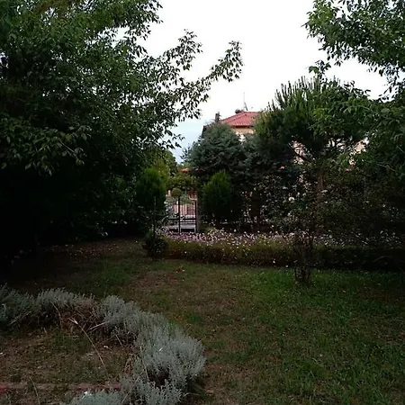 Blue Oasis Plaka-leptokaria Leptokarya (Pieria)